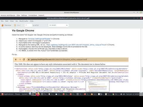 HealthGorilla Mutual TLS How To / Testing via Google Chrome