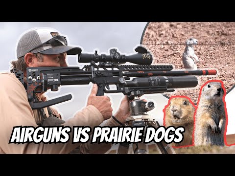 SNIPING PRAIRIE DOGS WITH AIRGUNS