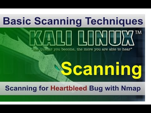 Scanning for Heartbleed bug using Nmap on Kali Linux