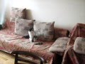 Злой кот Вася 