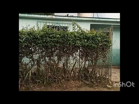Esta  es un barrió  del condado  en Santa-Clara 