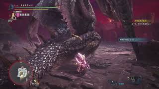 凡ハンターがチャアクでミラ討伐