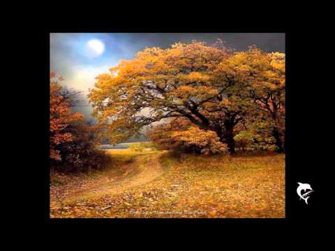 Khúc Mùa Thu - NSND Lê Dung -  St NS Phú Quang - Album Mới thôi...mà đã một đời