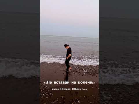 Андрей Савченко - Не вставай на колени