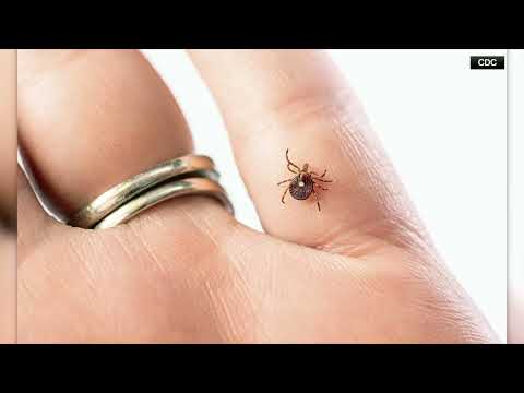 NJ Tick Bite Allergy Death