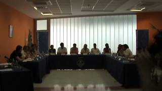 Ple extraordinari de 2 de juliol de 2015