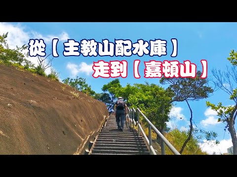 香港九龍-深水埗配水庫→主教山→嘉頓山,全程輕鬆易行,風景優美。