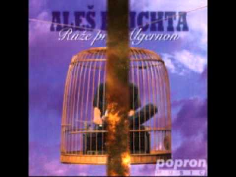 Aleš Brichta - Tulák po hvězdách