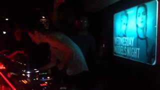 In the shadows - Lovebirds