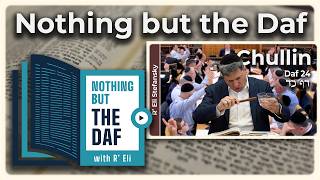 CHAZARAH - Chullin Daf 24 | "Nothing but the Daf" with R' Eli Stefansky