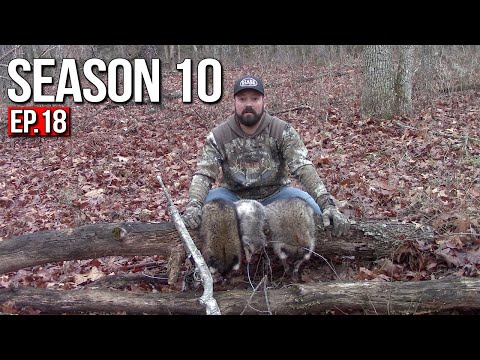 3 Out Of 6 Ain't Bad | Trapping Racoon | Opossum | Duke | Missouri