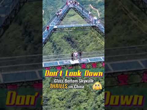Don't Look Down: Glass Bottom Skywalk Thrills in China #china #skywalk #chongqing #park #thrill