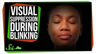 Why Doesn't It Get Dark When You Blink?