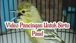 Download lagu Video Pancingan Untuk Sirtu Paud hs15 mp3 Download lagu Video Pancingan Untuk Sirtu Paud hs15 mp3