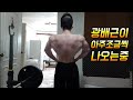 네츄럴보디빌딩 전성기몸복귀 프로젝트 93일차 광배근이 아주조금씩 나오는중