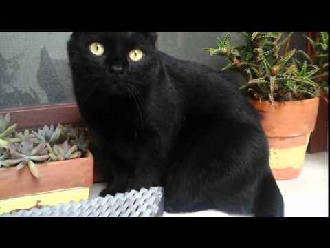 AMORE MIO UNICO..............