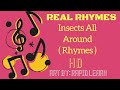 Insects All Around ( Rhymes ) | Rapid Learn