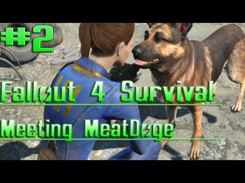 [Survival Difficulty] Fallout Let's Play #2 - MeatDoge