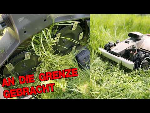 The Luba's taken to the limit - Luba 2 vs. Luba Mini comparison in the extreme test