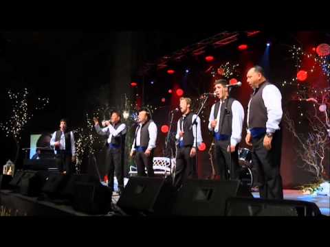 Klapa Puntamika - Lipa i divlja (MGNZ 2014)