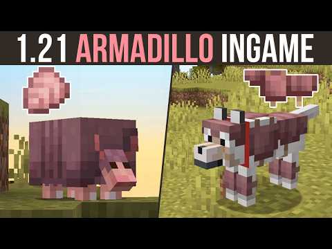 Minecraft Update 1.21: NEW Armadillo & Wolf Armor!
