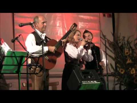 Gregor Avsenik & Saso Avsenik 18 Wo das Edelweiß blüht, Variation von Gregor Avsenik