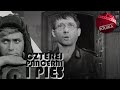 CZTEREJ PANCERNI I PIES Odcinek 14 Najlepsze Polskie Seriale Angielskie Napisy