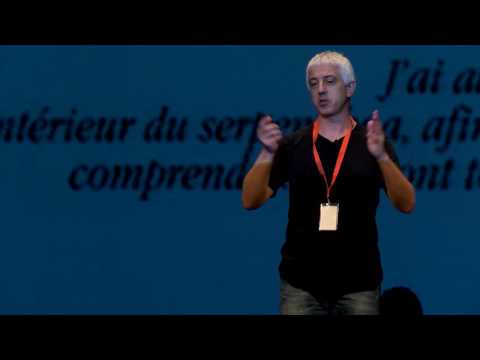 Vídeo: Sobre a evolución da linguaxe