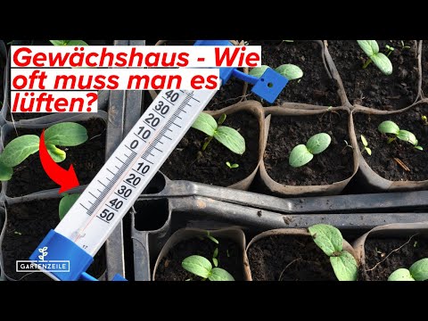 Wie oft muss man das Gewächshaus lüften? Darauf solltet ihr unbedingt achten!