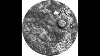 Recondite - DRGN 2 (Original Mix)