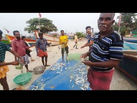 Conversation with some fisherman at beach ⛱️