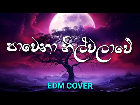 Pawena nil walawe | පාවෙනා නිල් වලාවේ | EDM Cover | EDM Sinhala Studio 