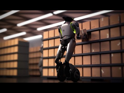 GoMate Review Video 2