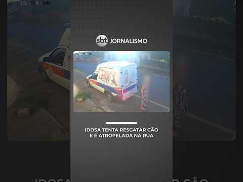 Idosa de 81 anos é atropelada ao tentar resgatar cachorro na rua | #SeLigaBrasil