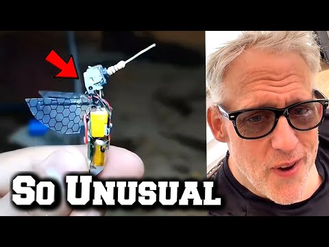 Something Strange Is Being Seen All Over U.S