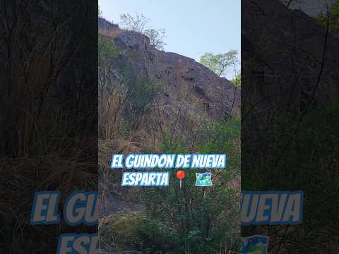 el guindon de nueva esparta 📍 🗺 la unión SV