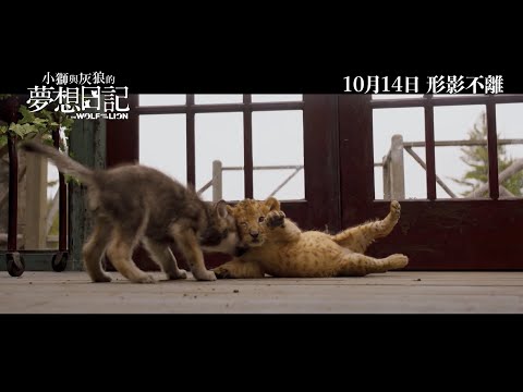 《小獅與灰狼的夢想日記》預告片：官方預告