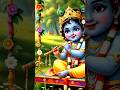 Tu Hain Toh ️Dil Dhadakta Hain ️ Tu Hain Toh ️ Radhekrishna Vrindavan