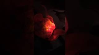 Red LED Volcano Lamp by Believe Bottles