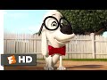 Mr Peabody Sherman The Story Of Mr Peabody Fandango Family