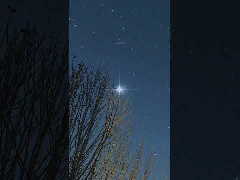 Deneb through a BIG telescope!