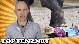 Top 10 Worst Ways to Die [WARNING: Graphic Content] — TopTenzNet