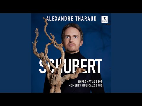 Rosamunde, Op. 26, D. 797: Overture (Transcr. Tharaud)