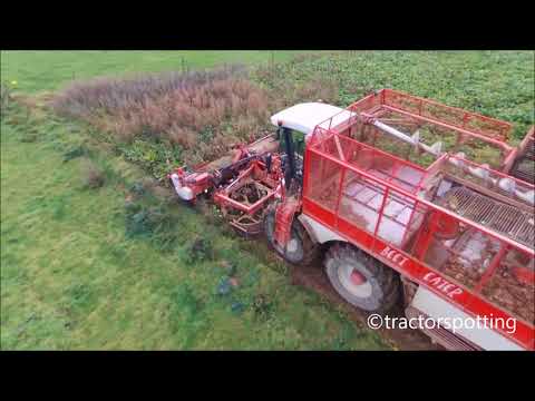 vervaet beet eater | fendt 714 vario tms | fendt 818 favorit | sugar beet harvesting