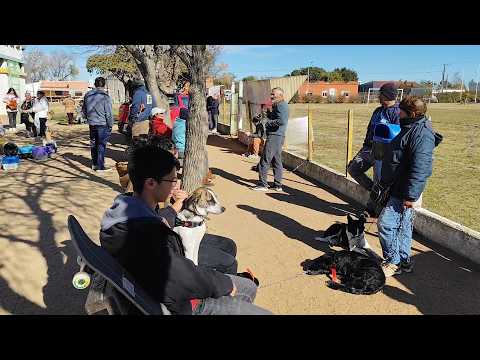 noticias del yi 16 07 26
