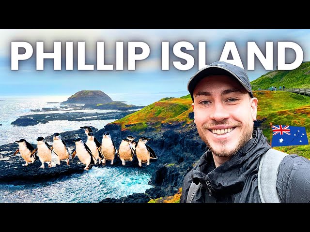 Travel vlog - Tour to PHILLIP ISLAND (Day Trip from Melbourne) 🇦🇺 | Australia Vlog (Fairy Penguins!)