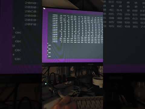 mgcaret/of816 portable 32-bit Forth on real C256 Foenix