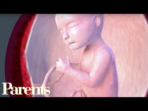 Sleep Cycles: Weeks 26-29 | Parents