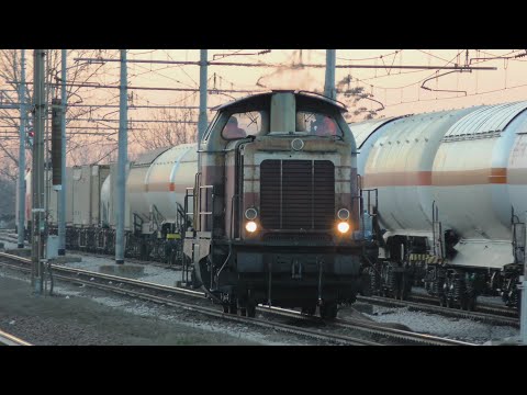 2019-01-03 I treni della Milano Bologna (linea tradizionale) 7/7 - Castelguelfo