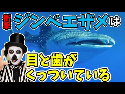 IUCN分類における絶滅の危険性を示す図。
